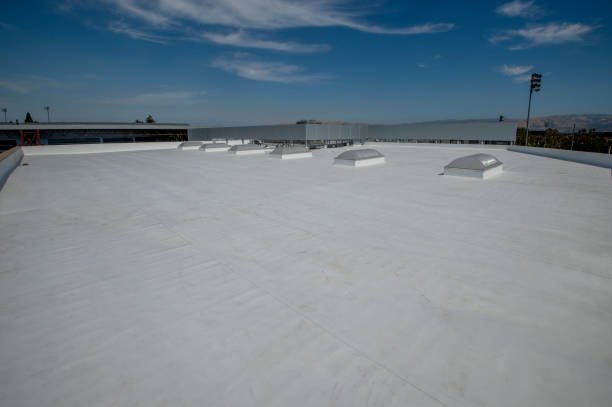 Best Green or Eco-Friendly Roofing Solutions  in Premont, TX