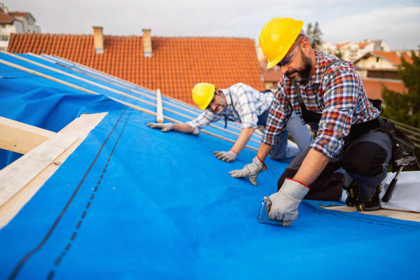 Best Roof Ventilation Installation  in Premont, TX